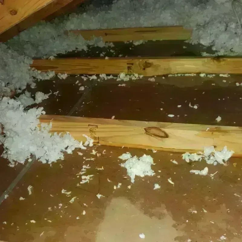 Attic Water Damage in Morrow County, OH