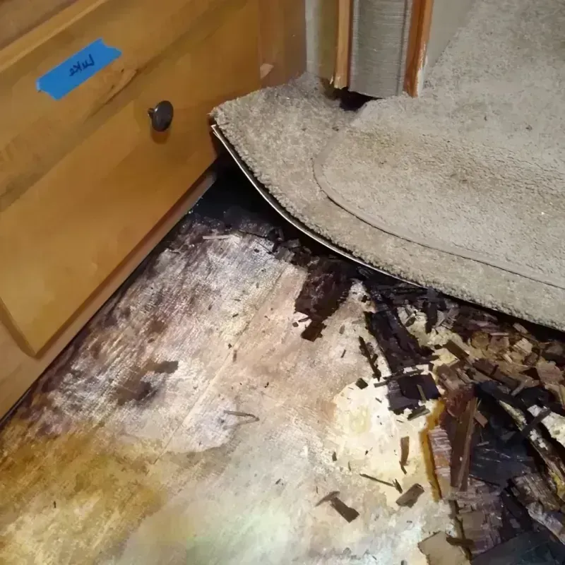 Wood Floor Water Damage in Morrow County, OH